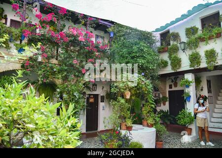 córdoba andalucia españa los patios verde con su macetas 2021 Stock Photo