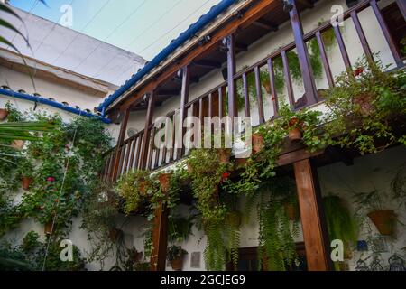 córdoba andalucia españa los patios verde con su macetas 2021 Stock Photo