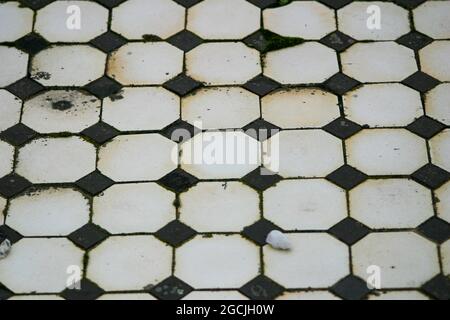 Old decaying black and white mosaic tiled floor 02 Stock Photo