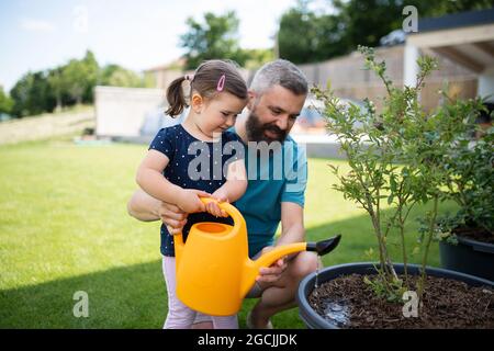 Father with small daughter outdoors in tha backyard, watering plants. Stock Photo
