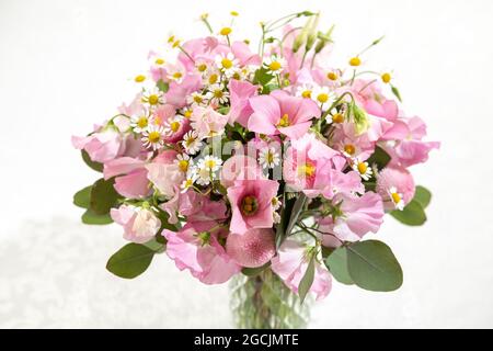 botany, filmier spring-like bouquet in pink, FOR GREETING/POSTCARD-USE IN GERM.SPEAK.C CERTAIN RESTRICTIONS MAY APPLY Stock Photo