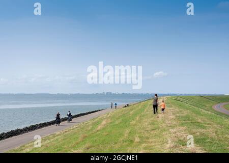 people walk and ride bicycle on dike near oudeschild on the dutch island of texel under blue sky in summer Stock Photo