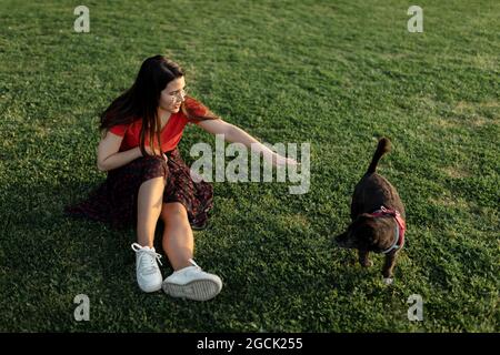 Female owner sitting on green lawn with adorable dog while spending weekend together in summer park in evening Stock Photo