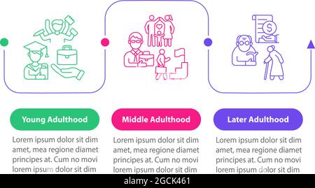 Periods of adulthood vector infographic template Stock Vector