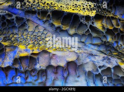 Closeup abstract textured background of yellow and blue surface of natural material covered with holes Stock Photo