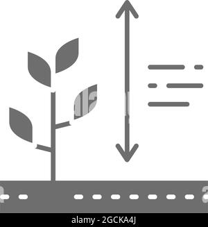 Vector plants growing, plant height grey icon. Stock Vector