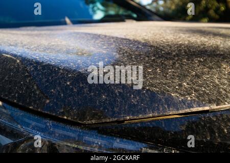 Dirty black car body after sand rain Stock Photo