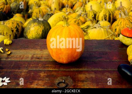 Autumn frame Composition and layout made of colorful pumpkin, mushrooms, Aged old retro red background. Black and white. Harvest festival thanksgiving Stock Photo