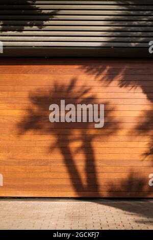 Palm trees casting shadows on wall of building on sunny day in exotic city Stock Photo