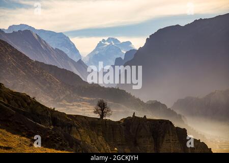 Lonely leafless tree growing on rocky hill on background of Himalayas mountains in Nepal at sundown Stock Photo