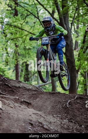 Mtb discount downhill 2021