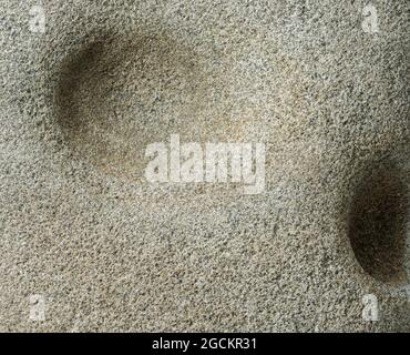 Close up of a rock sandstone texture background with holes Stock Photo