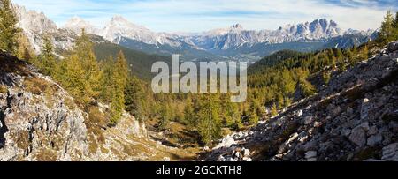 View of meadow, Larch wood, Le Tofane Gruppe and Hohe Gaisl, Dolomiti, Italy Stock Photo