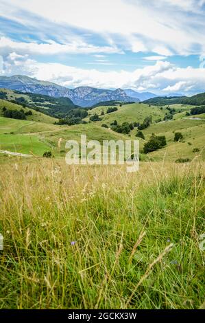 Beautiful Landscape with Trees, Mountains and Meadows with a Blue Sky and Clouds Seen on the Mountains from Passo Fittanze Di Sega, in Lessinia, VR Stock Photo