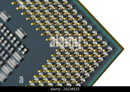 Back side of a computer processor, where you can see all the golden pins that go into the motherboard socket Stock Photo