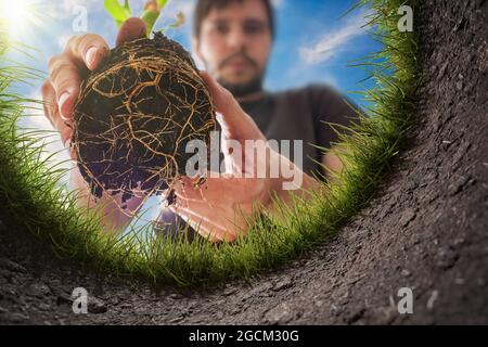 Young man is planting the plant in the garden. View from inside of hole in soil. Stock Photo