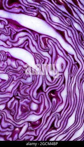 Crop macro view of red cabbage sliced leaves texture Stock Photo