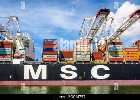 Side view of MSC Bettina container ship docked in Port 2000 container terminal in Le Havre, France, being unloaded by super post-panamax gantry cranes Stock Photo