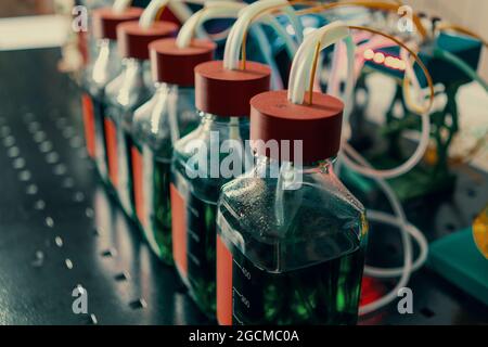 Experimental setup for enzymatic synthesis by genetically modified bacteria in a microbiological laboratory. Cell culture flasks and measuring instrum Stock Photo