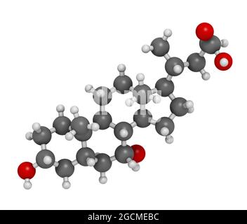 Chenodeoxycholic acid drug molecule. 3D rendering. Atoms are rep Stock Photo