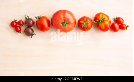 Different shape, size and color tomatoes in row, with lot of copy space on light brown background. Stock Photo