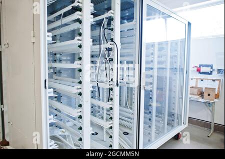Eletric network at the enterprise, shield, wires and cable channels. The equipment of the switchboard. Strip the cable channels for the wires. Stock Photo