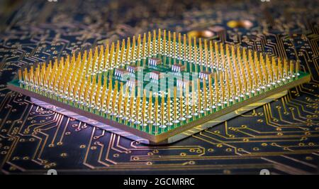 close-up of computer central processor unit with golden pins on background of dark printed circuit board with golden wires Stock Photo
