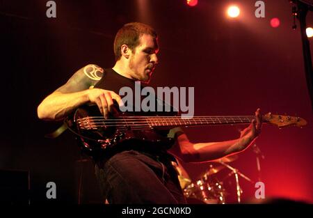 Rage Against the Machine bassist, Tim Commerford with his wife in ...