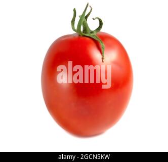 One oblong tomato isolated on white background. Stock Photo