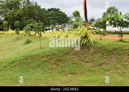 Plants and trees at the entrance to the picturesque Army Ordinance cricket grounds. Dombagoda. Sri Lanka.