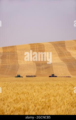 distant view of combine harvesters in partially harvested fields, near Pullman, Washington State, USA Stock Photo