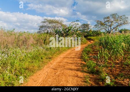 Road across fields in Guasasa valley near Vinales, Cuba Stock Photo