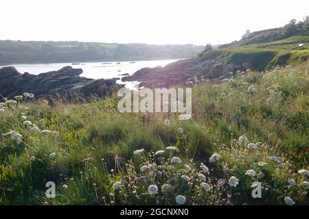 Old Town bay viewed from Porth Minick headland, St Mary's island, Isles of Scilly, Cornwall, England, UK, July 2021 Stock Photo