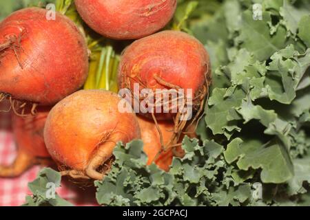 Fresh orange beets with kale on plaid towel Stock Photo