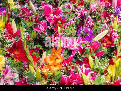 Fresh cut flowers for sale at the Farmer's Market in Madison, Wisconsin. Stock Photo