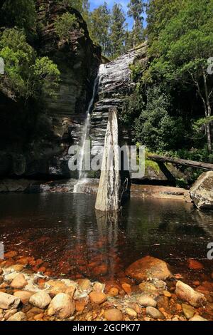 a waterfall with trees on the side of a river in tasmania Stock Photo