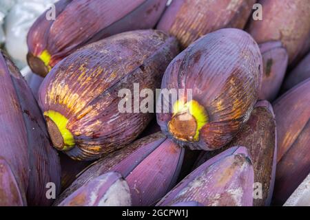 A bunch of Banana blossom or  Banana heart on a counter in a fresh market at Kuala Lumpur, Malaysia. The banana flower is used in asia for cooking as Stock Photo