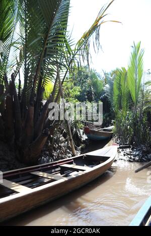 Floating mangrove forest near the Kampong Phluk Floating Village and Angkor Wat, Siem Reap, Cambodia. The trees standing in the water during high tide Stock Photo