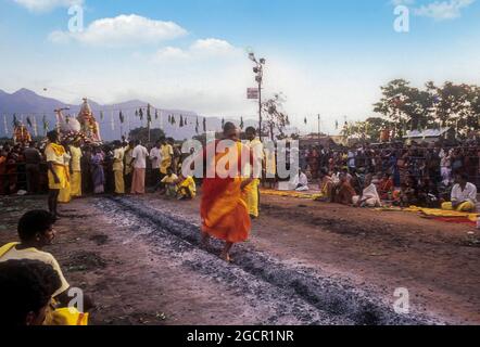 Fire walking festival at Vana Badra Kali Amman Temple at Nellithurai near Mettupalayam, Tamil Nadu, India Stock Photo