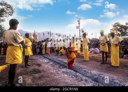 Fire walking festival at Vana Badra Kali Amman Temple at Nellithurai near Mettupalayam, Tamil Nadu, India Stock Photo