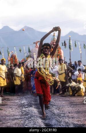 A god possessed man running on burning coal; Fire walking festival at Vana Badra Kali Amman Temple at Nellithurai near Mettupalayam, Tamil Nadu, India Stock Photo