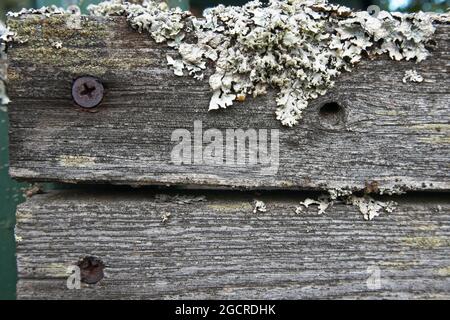 Old grey wooden planks horizontal background Stock Photo
