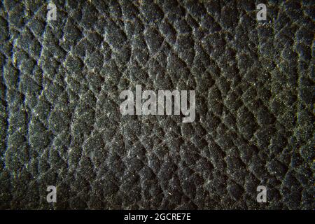 Close up of quality black leather texture. Grunge skin fabric background. Stock Photo