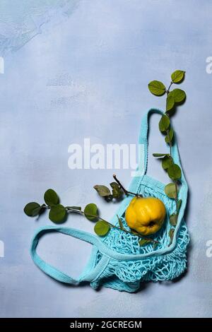 Quince apple fruit, quince tree branches and blue mesh bag on blue surface. Directly above view. Fruit and leaves have natural imperfections, spots an Stock Photo
