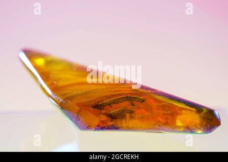 Amber made of yellow transparent fossil resin with insect inclusions photographed in the studio Stock Photo