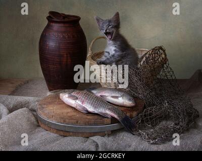 Still life with fish and little kitten Stock Photo