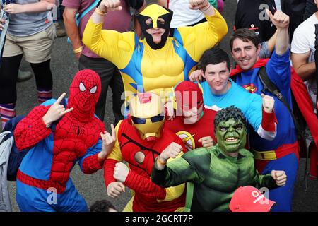 Fans. British Grand Prix, Sunday 8th July 2012. Silverstone, England. Stock Photo