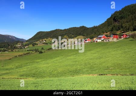 Farmlands and pastures in Norway. Agricultural area in the region of Sunnfjord municipality (Vestland county). Stock Photo