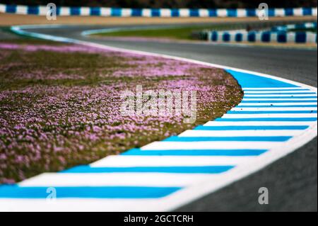 Circuit Detail. Formula One Testing, Preparations, Monday 27th January 2014. Jerez, Spain. Stock Photo