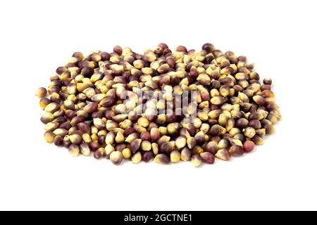 Black maize kernels on a white background Stock Photo